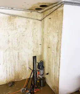 صنايعي كور في 6 اكتوبر والشيخ زايد 2 فتحات كور في اكتوبر